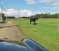 Toeristische rondrit op 29-9-2012 (73)